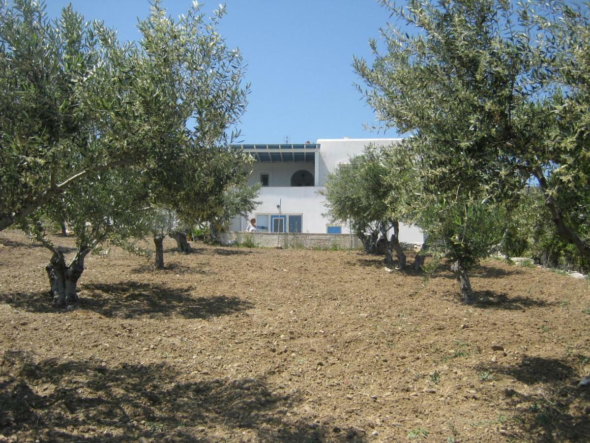 Villa Kafkis House, Paros Dhragoulas Exterior foto